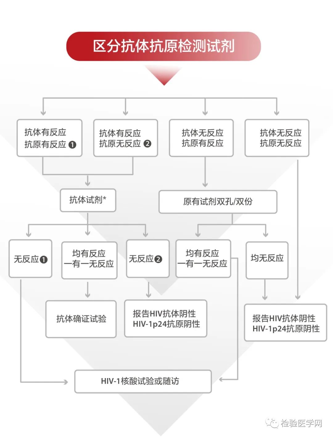 艾滋病急性期_急性艾滋病感染期的临床表现_急性期艾滋病症状